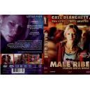 LITTLE FISH-DVD